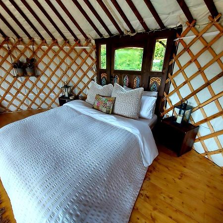 The Kites Rest At Castle Creavie Farm Hotel Kirkcudbright Ngoại thất bức ảnh