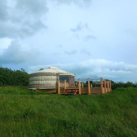 The Kites Rest At Castle Creavie Farm Hotel Kirkcudbright Ngoại thất bức ảnh
