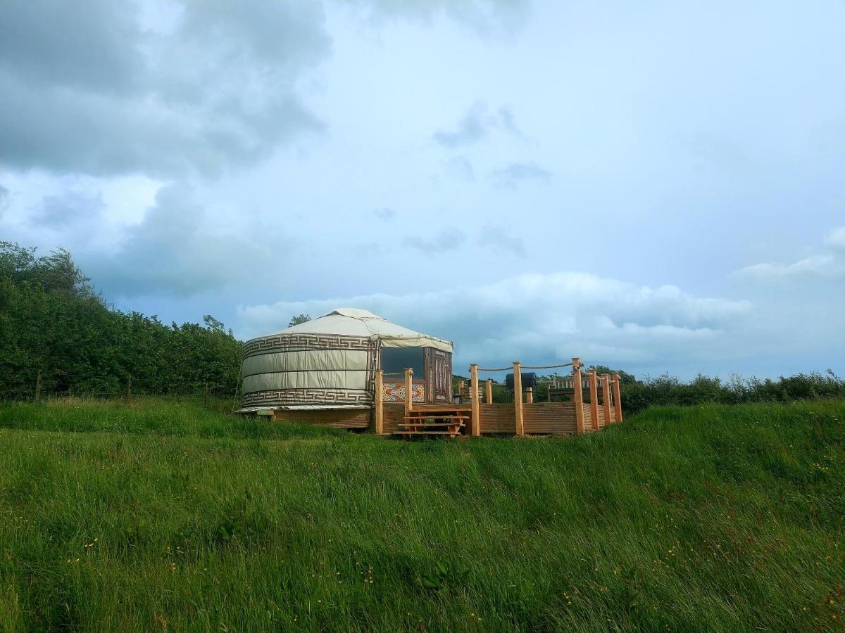 The Kites Rest At Castle Creavie Farm Hotel Kirkcudbright Ngoại thất bức ảnh
