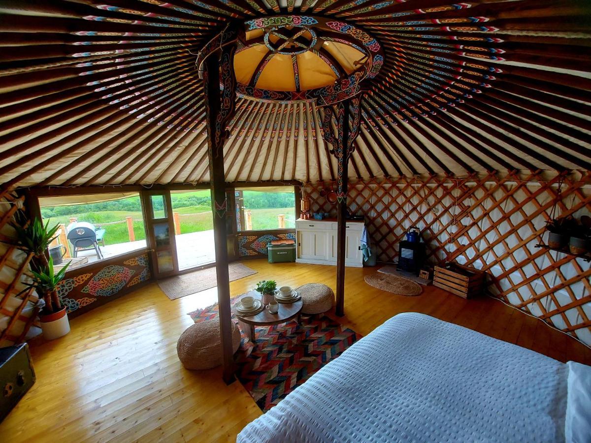 The Kites Rest At Castle Creavie Farm Hotel Kirkcudbright Ngoại thất bức ảnh