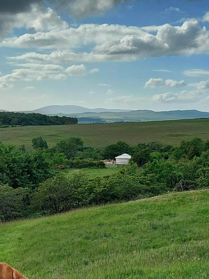 The Kites Rest At Castle Creavie Farm Hotel Kirkcudbright Ngoại thất bức ảnh