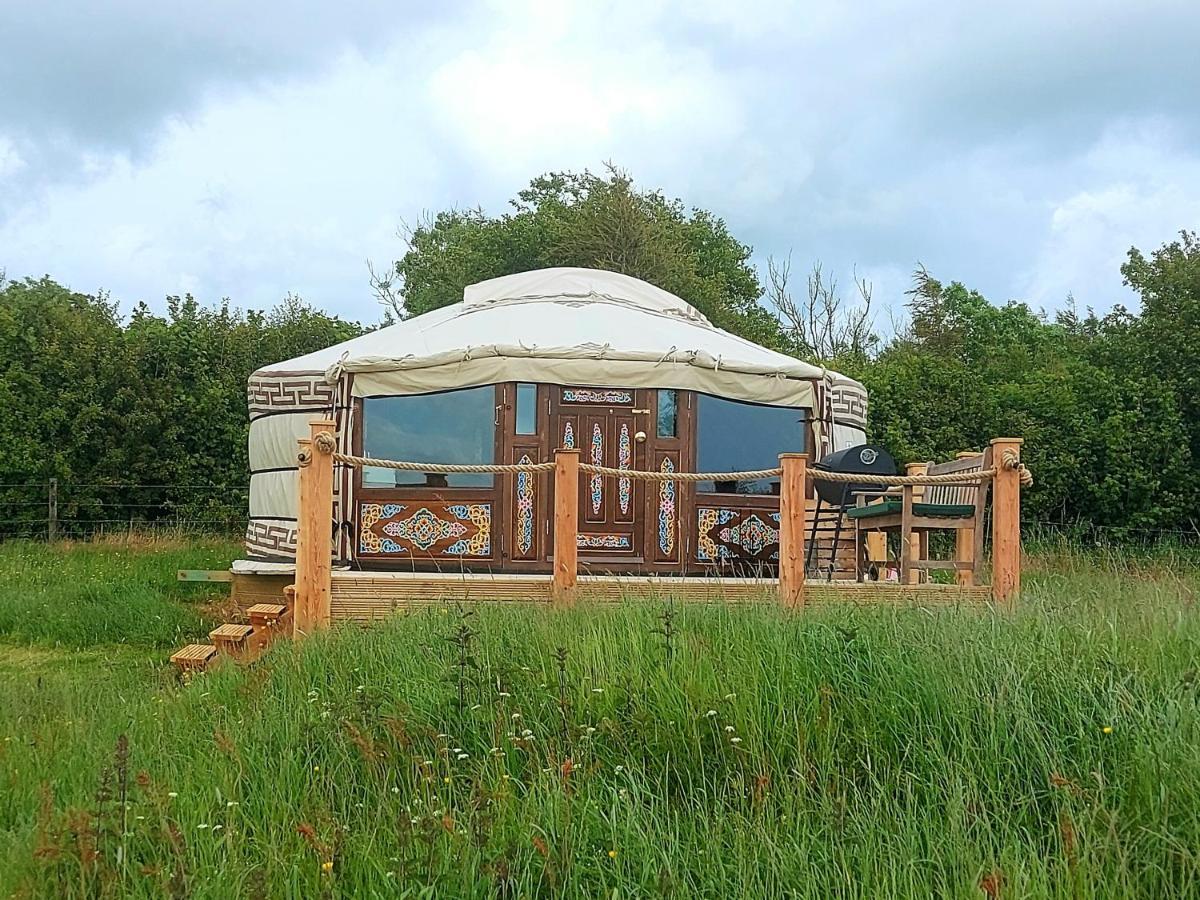 The Kites Rest At Castle Creavie Farm Hotel Kirkcudbright Ngoại thất bức ảnh