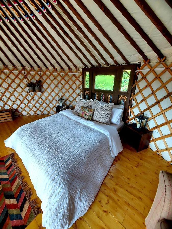 The Kites Rest At Castle Creavie Farm Hotel Kirkcudbright Ngoại thất bức ảnh