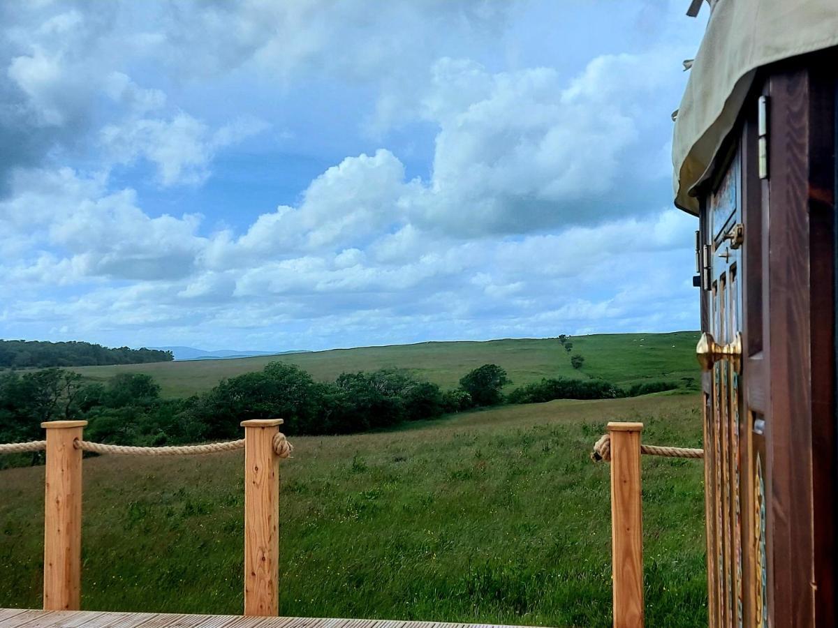 The Kites Rest At Castle Creavie Farm Hotel Kirkcudbright Ngoại thất bức ảnh